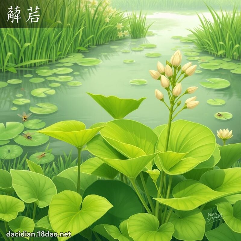 薢茩 - 國語大辭典配圖