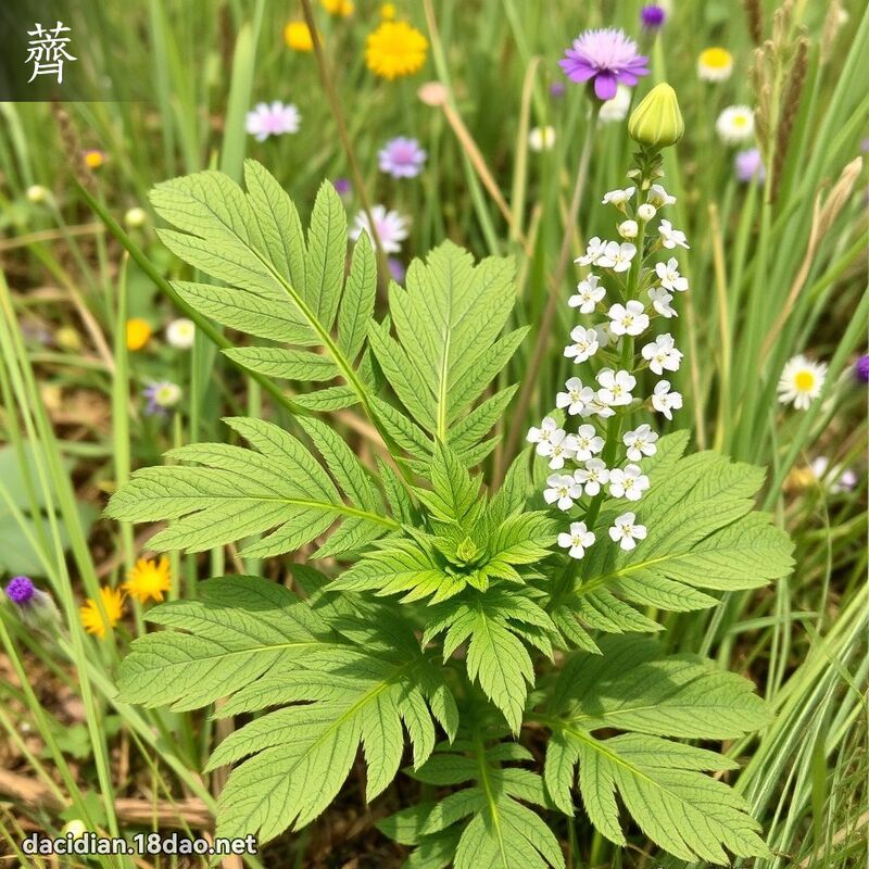 漢字: 薺 (多音字)