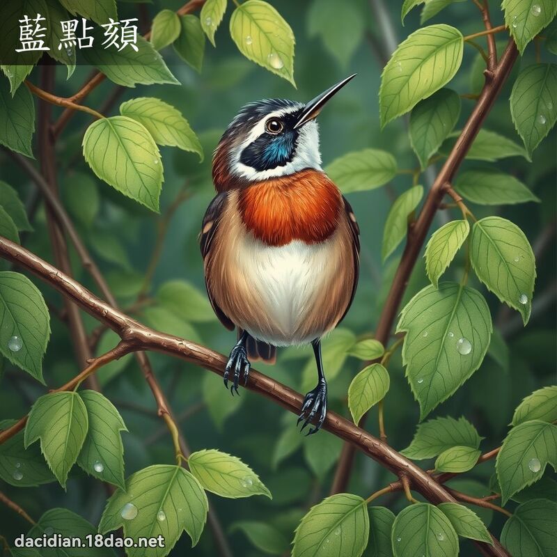 藍點頦 - 國語大辭典配圖