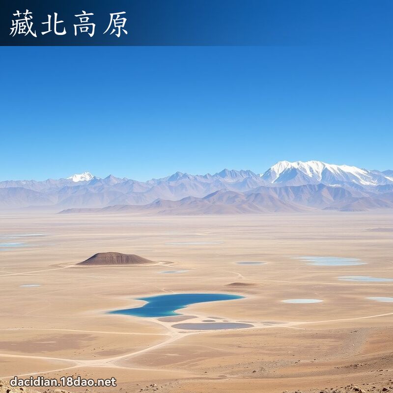 藏北高原 - 国语大辞典配图