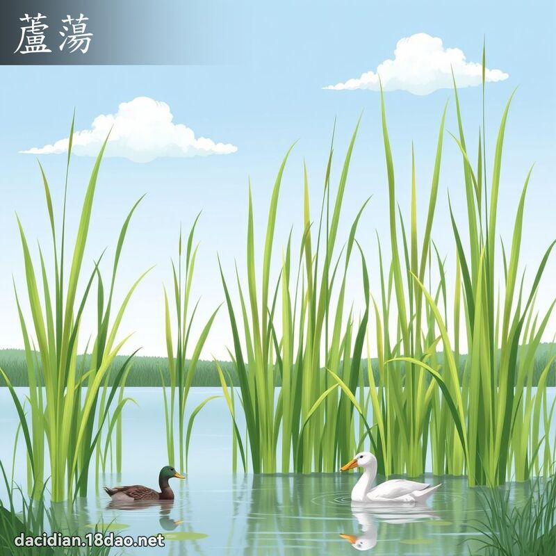 蘆蕩 - 國語大辭典配圖
