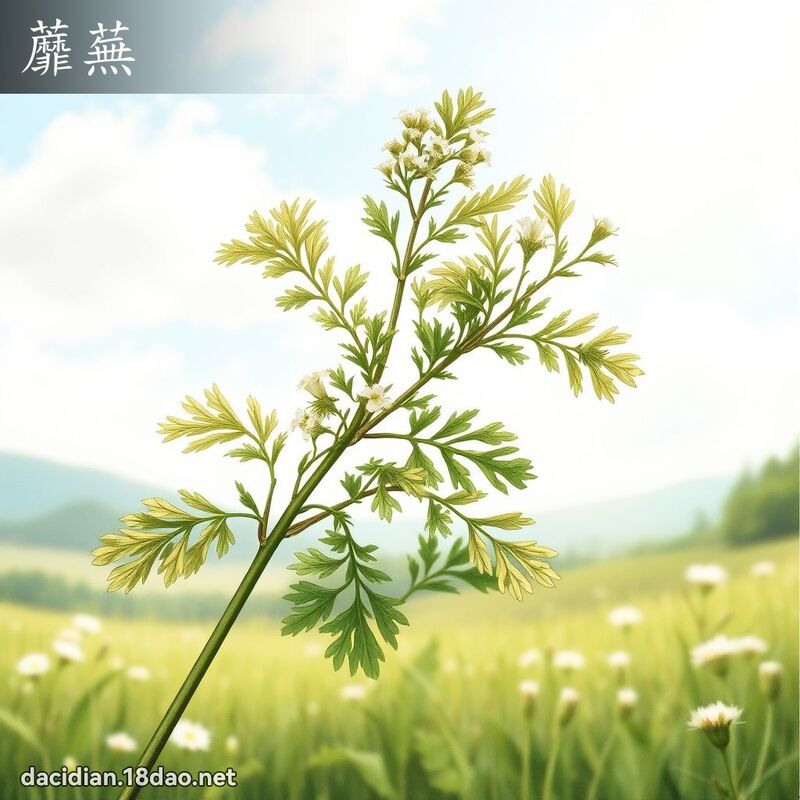 蘼蕪 - 國語大辭典配圖