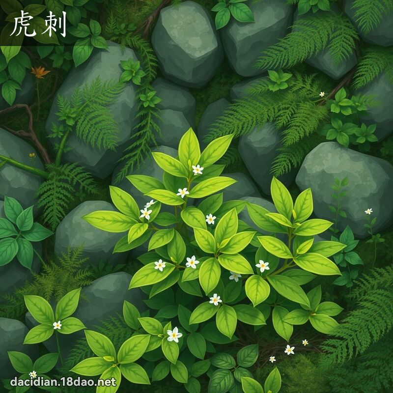 虎刺 - 國語大辭典配圖