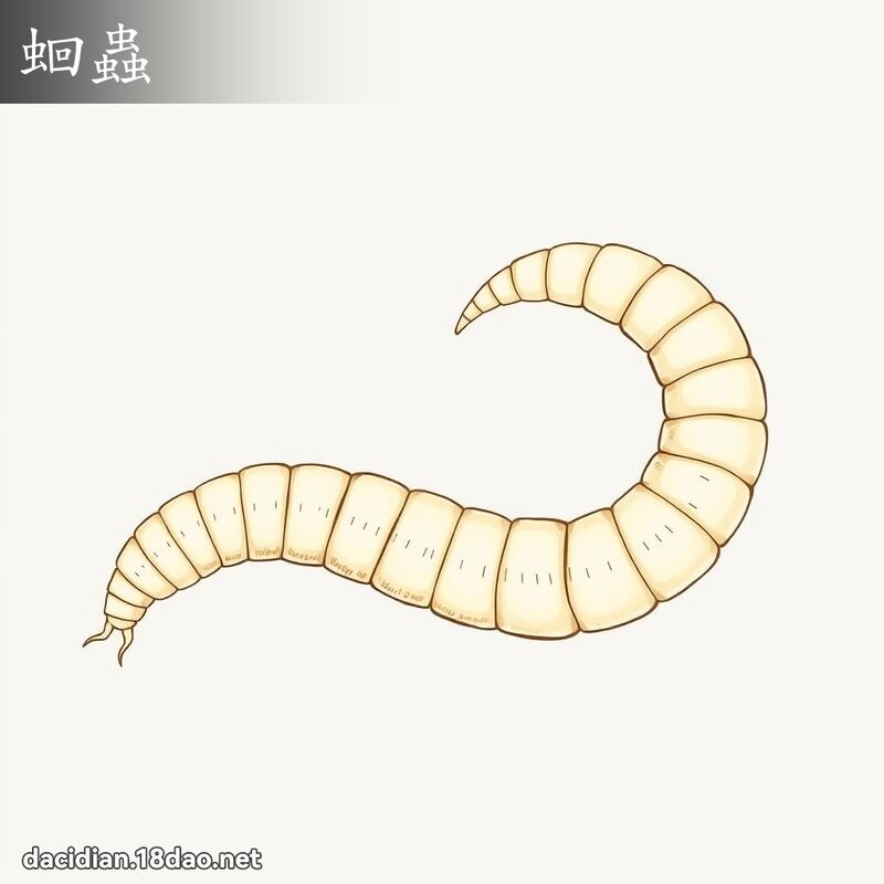 蛔虫 - 国语大辞典配图