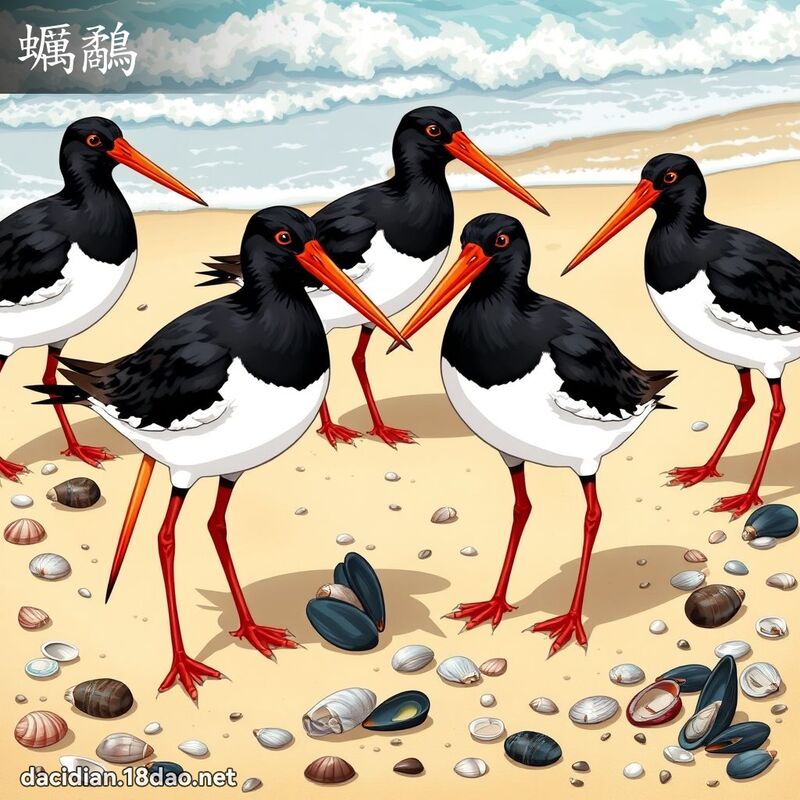 蠣鷸 - 國語大辭典配圖