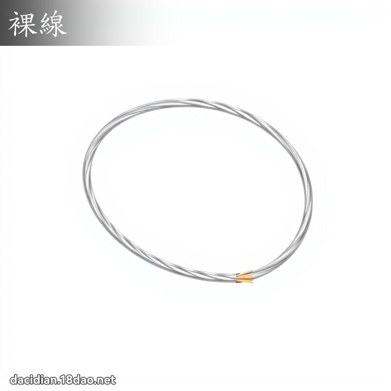 裸线 - 国语大辞典配图