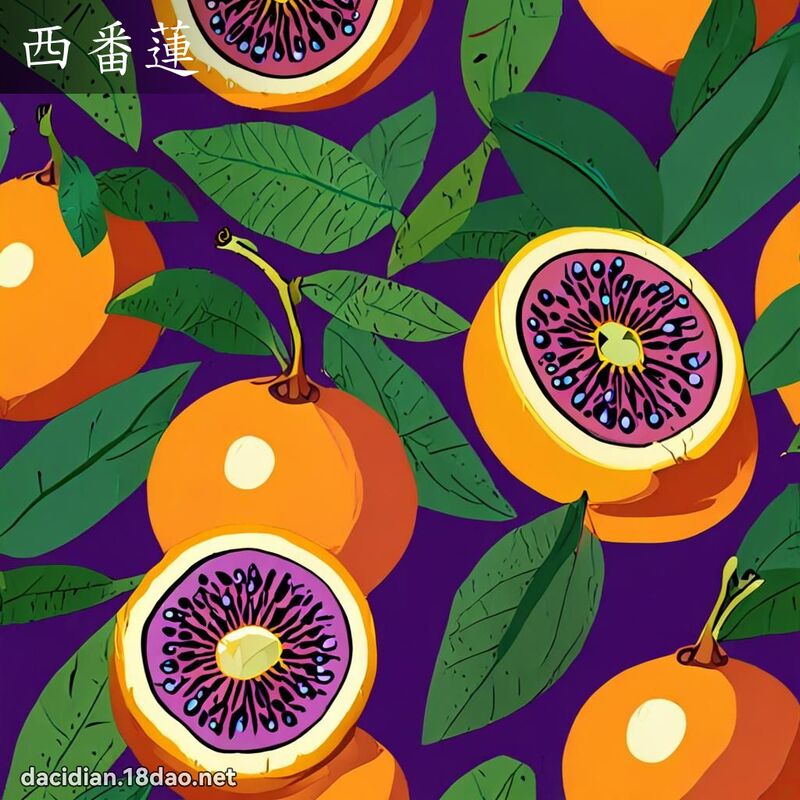 西番莲 - 国语大辞典配图