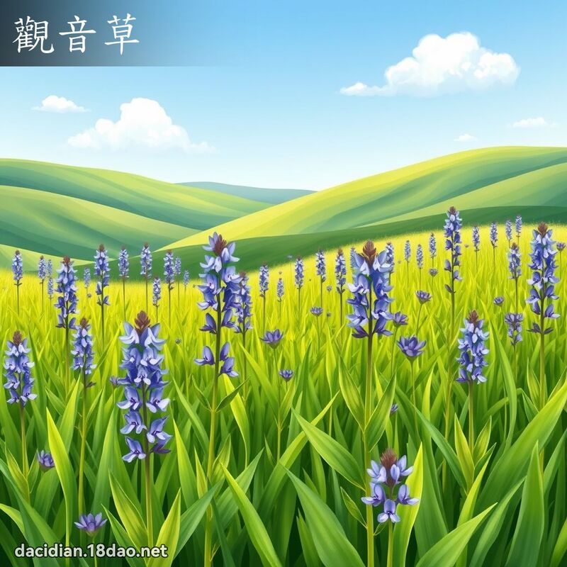 观音草 - 国语大辞典配图