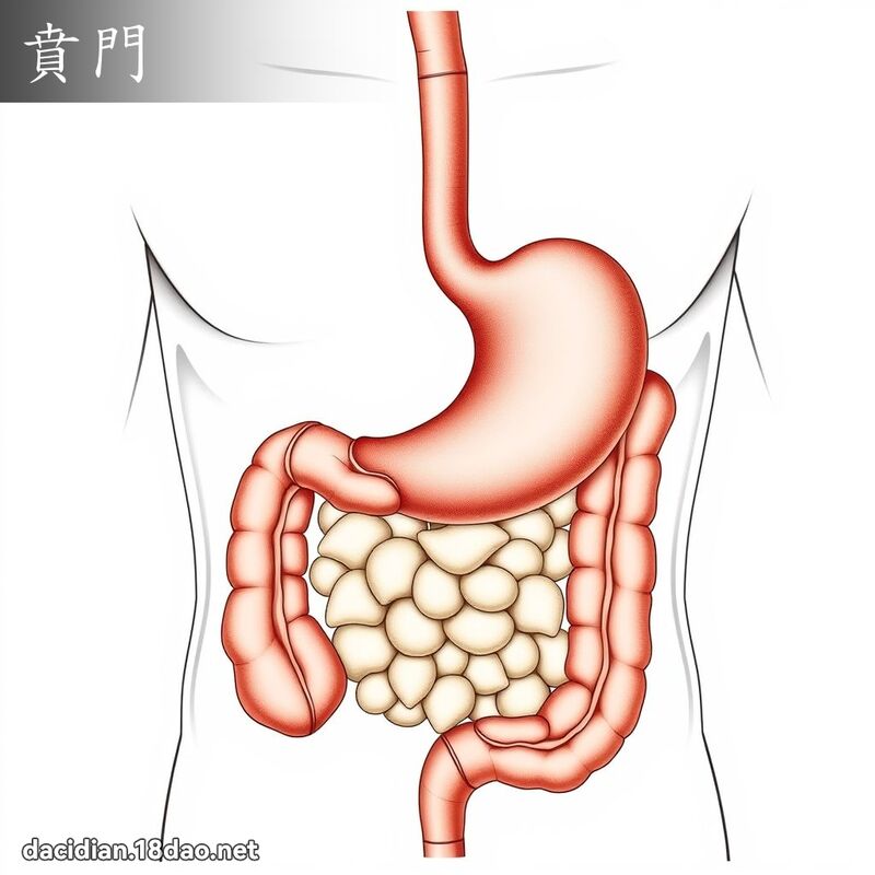 賁門 - 國語大辭典配圖