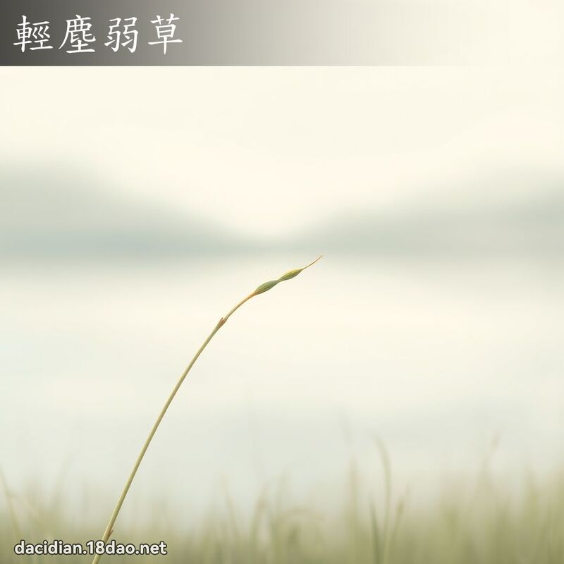 輕塵弱草 - 國語大辭典配圖