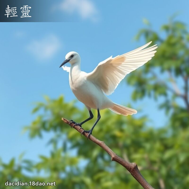 轻灵 - 国语大辞典配图