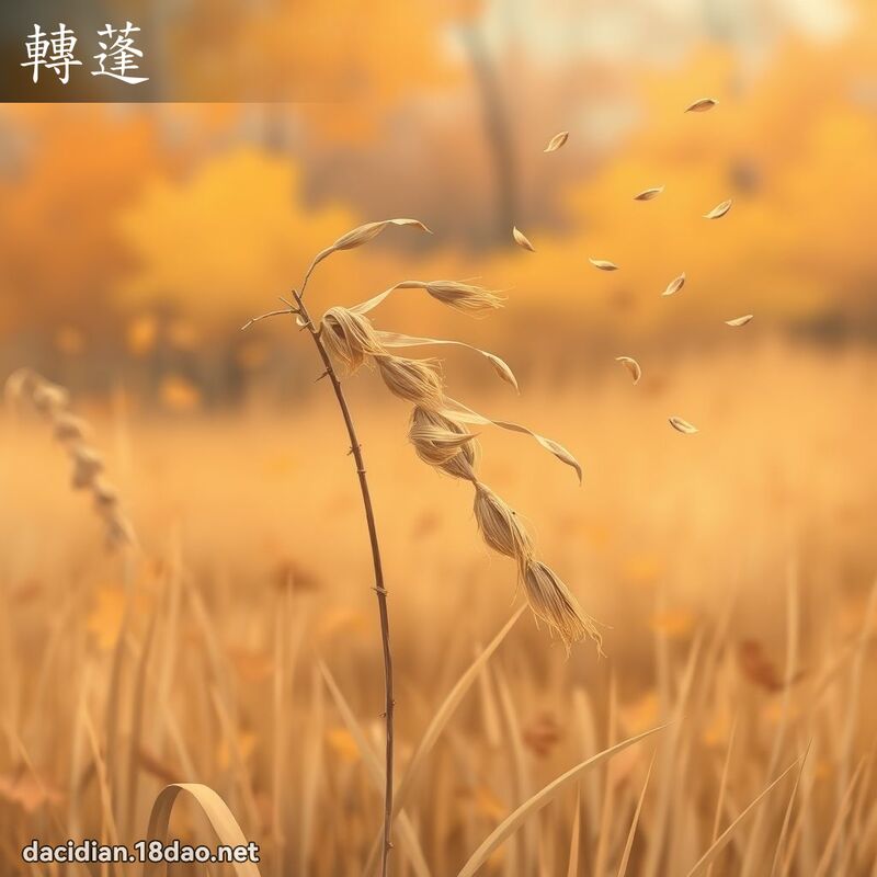 轉蓬 - 國語大辭典配圖