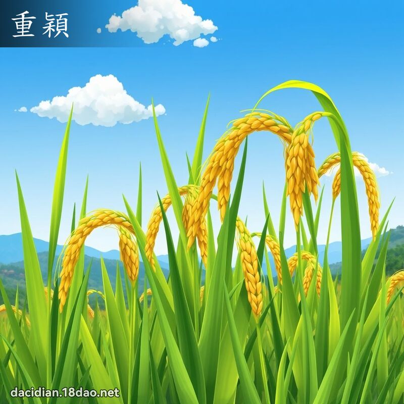 重穎 - 國語大辭典配圖