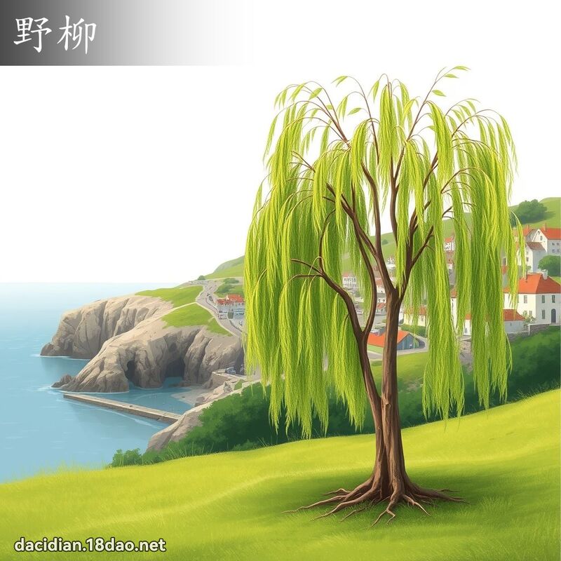 野柳 - 国语大辞典配图
