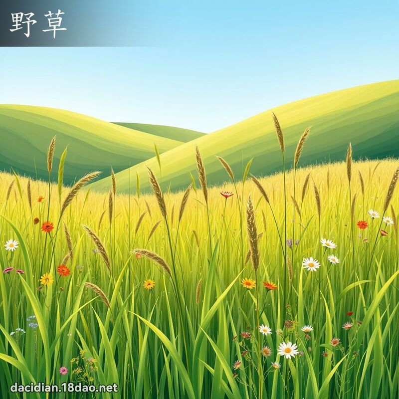 野草 - 國語大辭典配圖