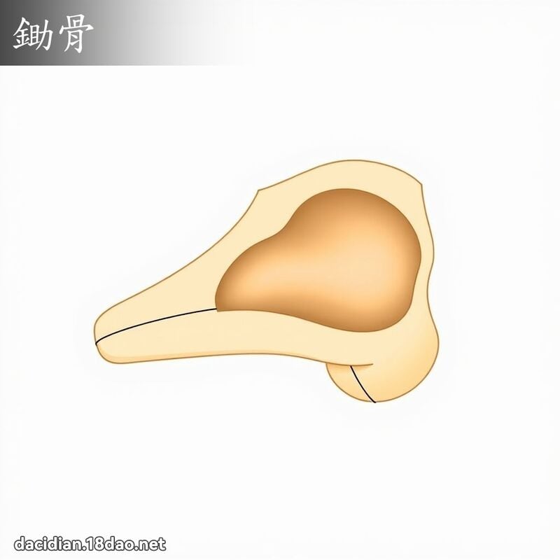 鋤骨 - 國語大辭典配圖