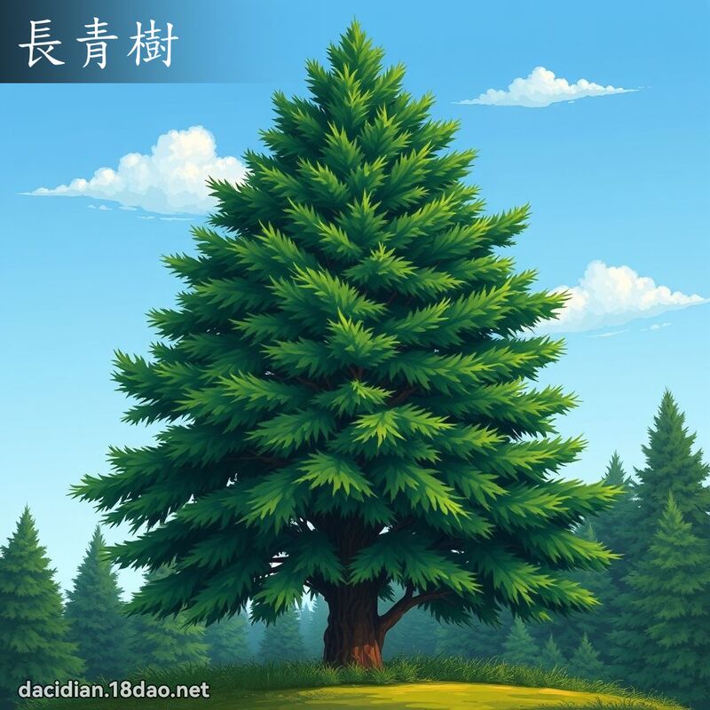 长青树 - 国语大辞典配图