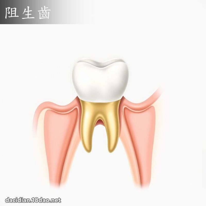 阻生齿 - 国语大辞典配图