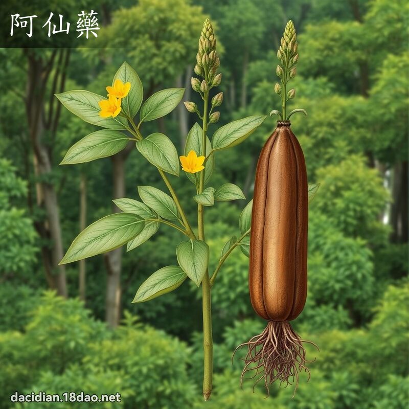 阿仙藥 - 國語大辭典配圖