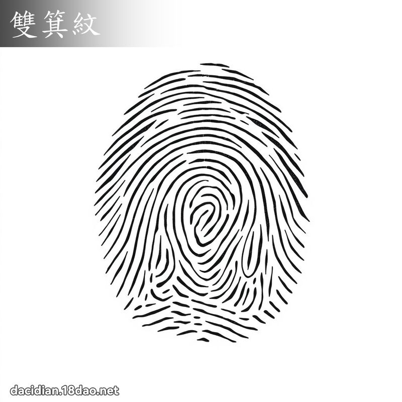 双箕纹 - 国语大辞典配图