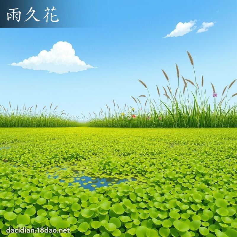 雨久花 - 国语大辞典配图