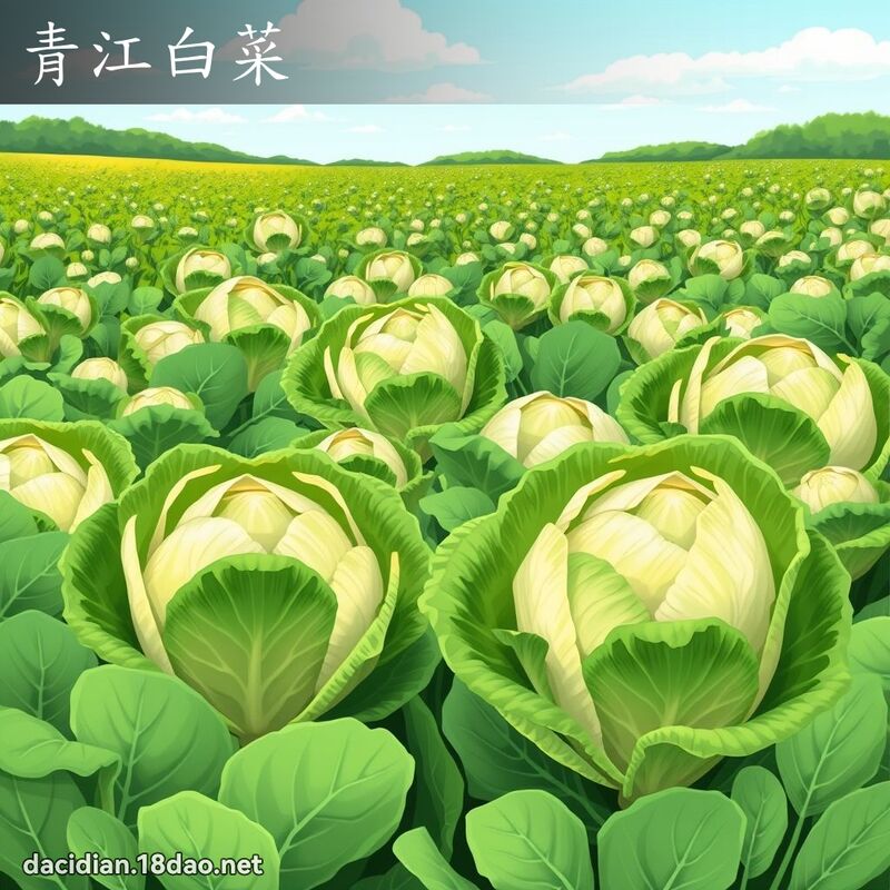 青江白菜 - 國語大辭典配圖