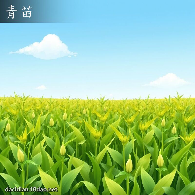 青苗 - 國語大辭典配圖