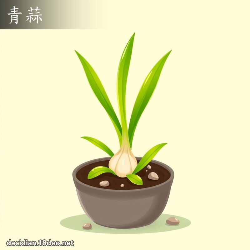 青蒜 - 國語大辭典配圖