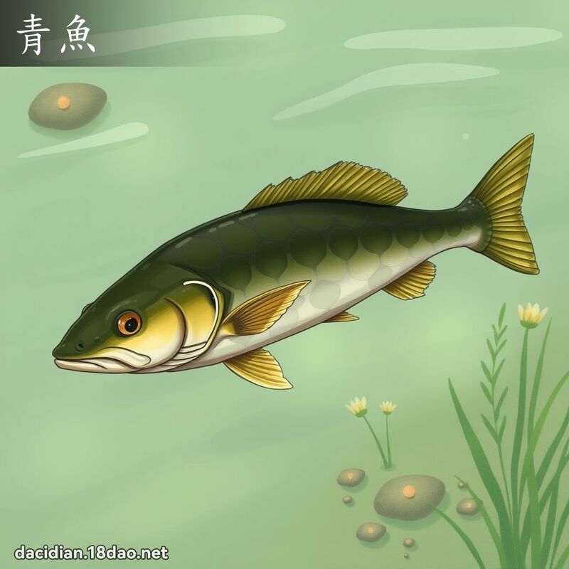 青魚 - 國語大辭典配圖