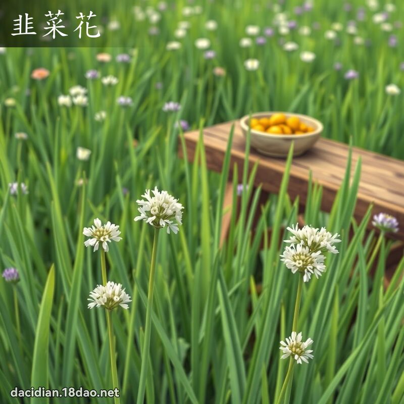 韭菜花 - 国语大辞典配图