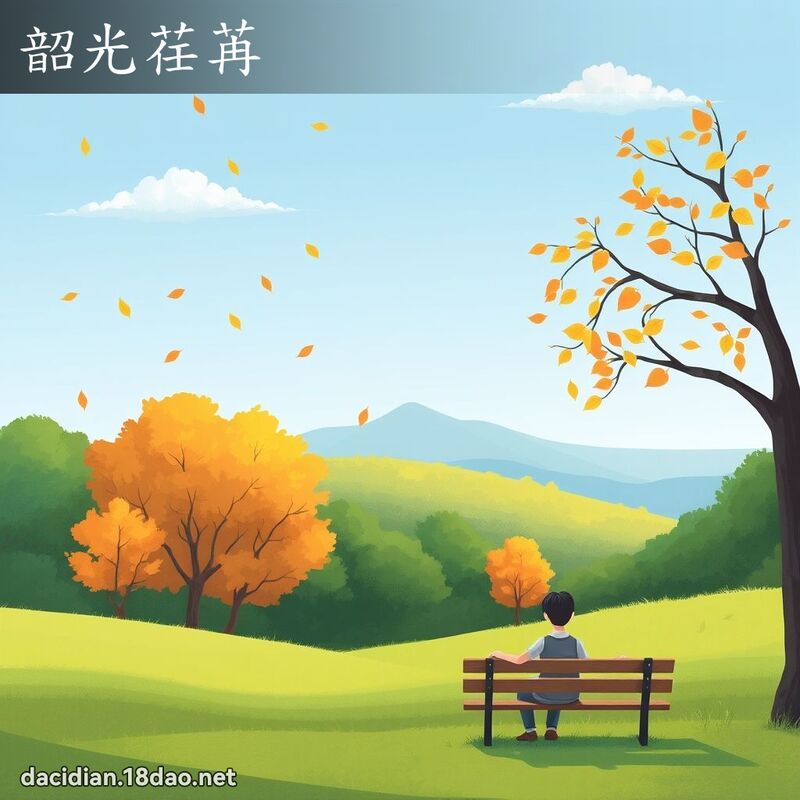 韶光荏苒 - 国语大辞典配图