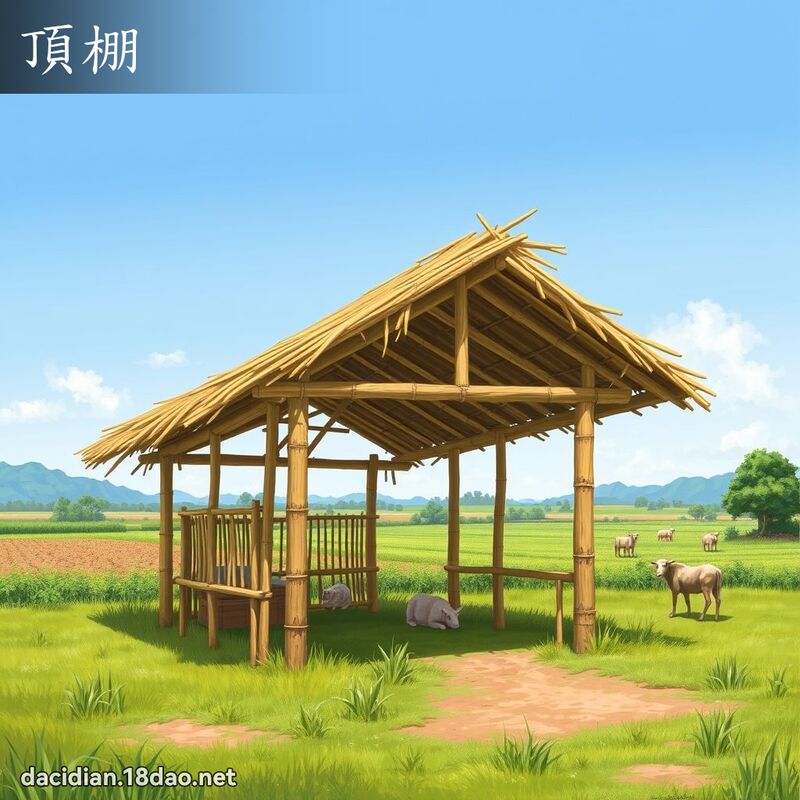 頂棚 - 國語大辭典配圖