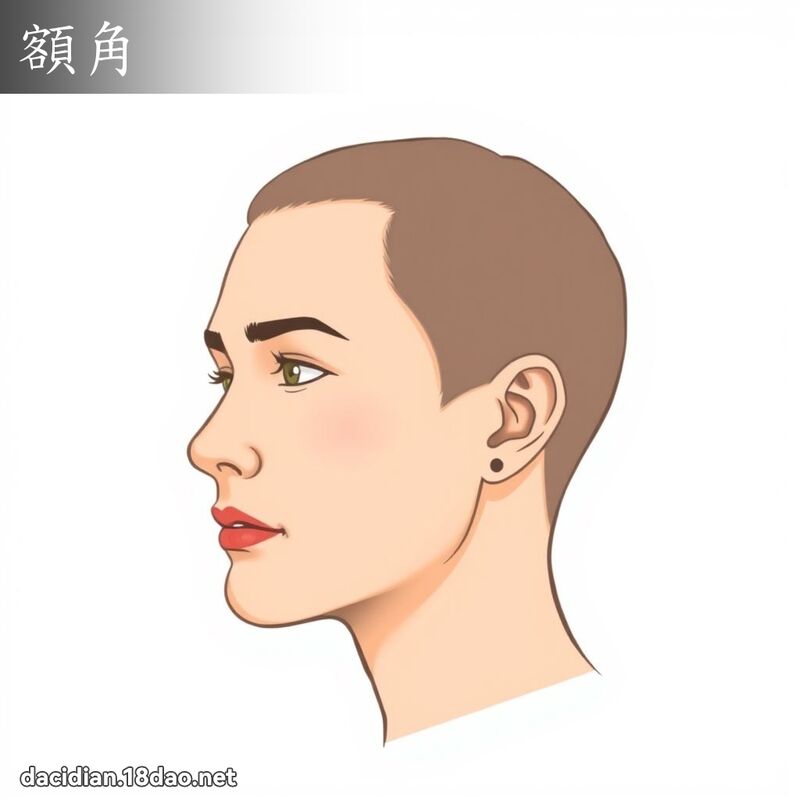 额角 - 国语大辞典配图