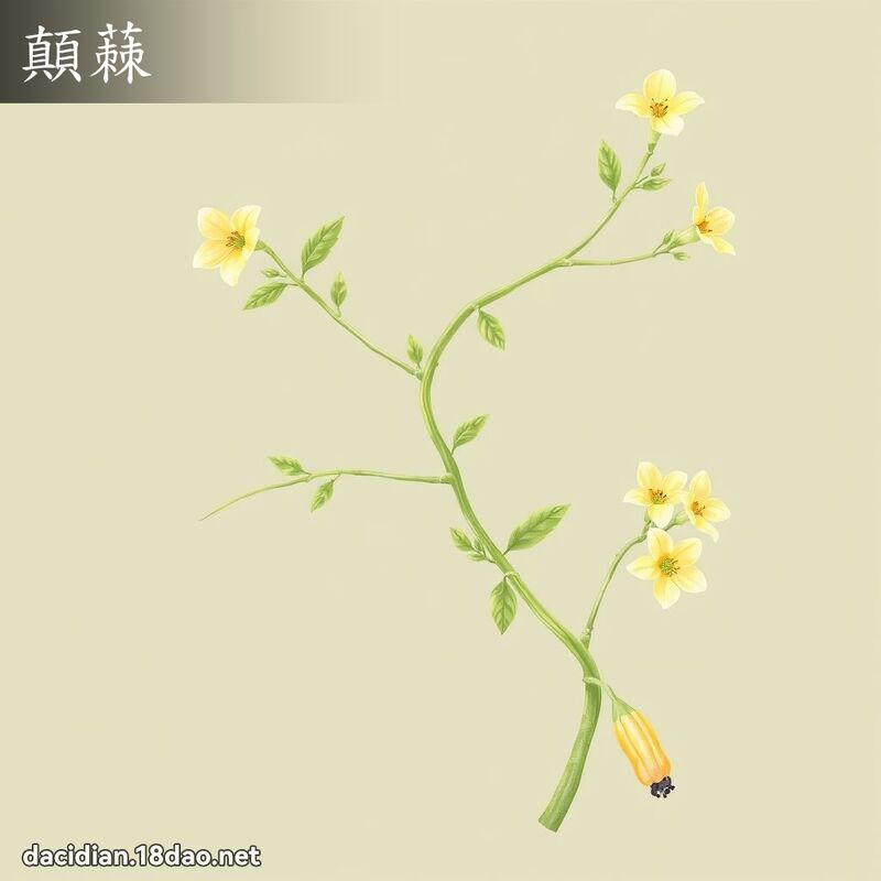 顛蕀 - 國語大辭典配圖