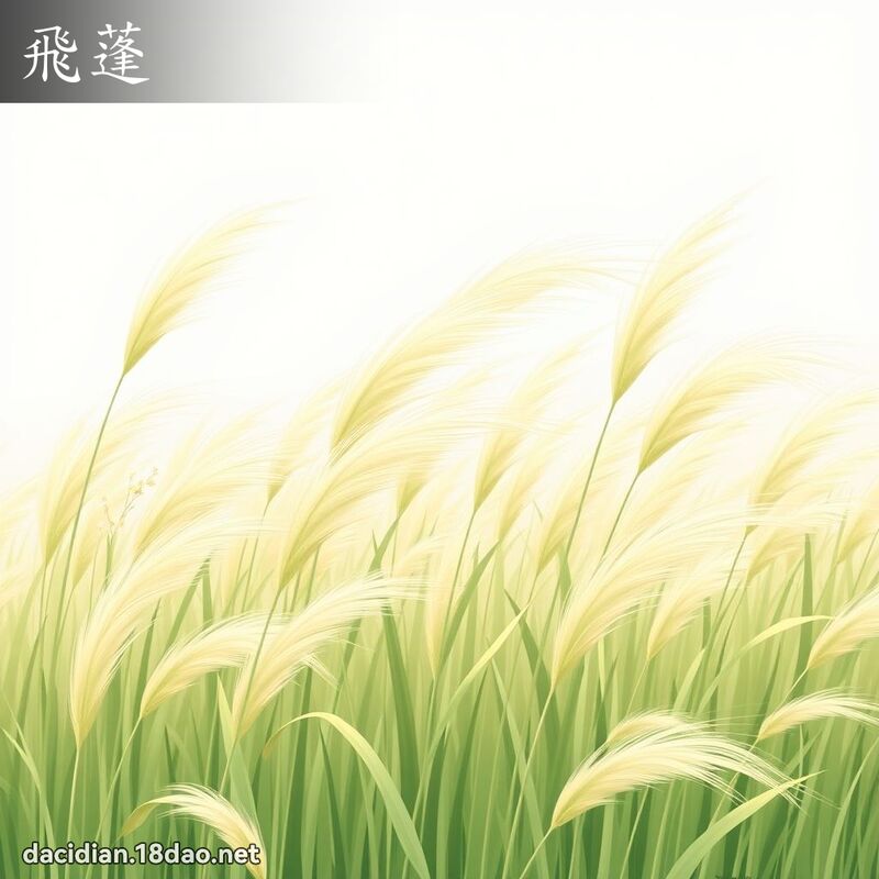 飛蓬 - 國語大辭典配圖