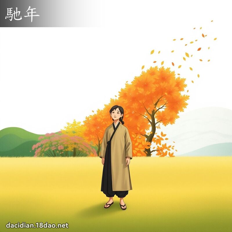 馳年 - 國語大辭典配圖