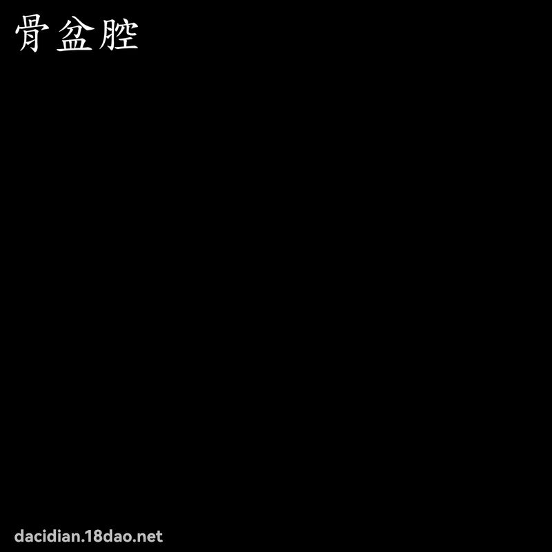 骨盆腔 - 国语大辞典配图