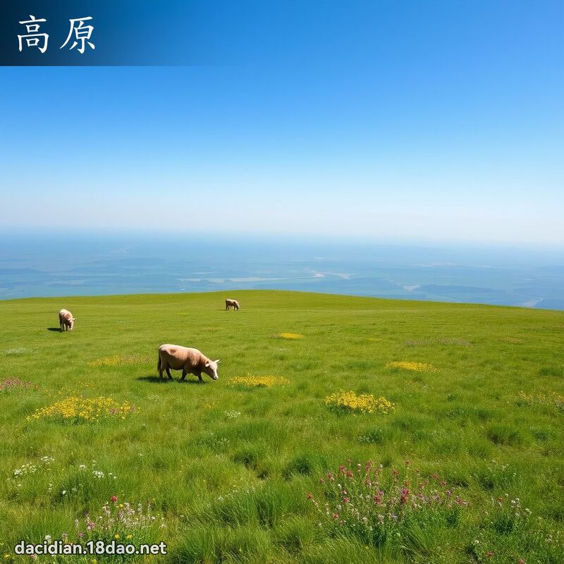 高原 - 國語大辭典配圖