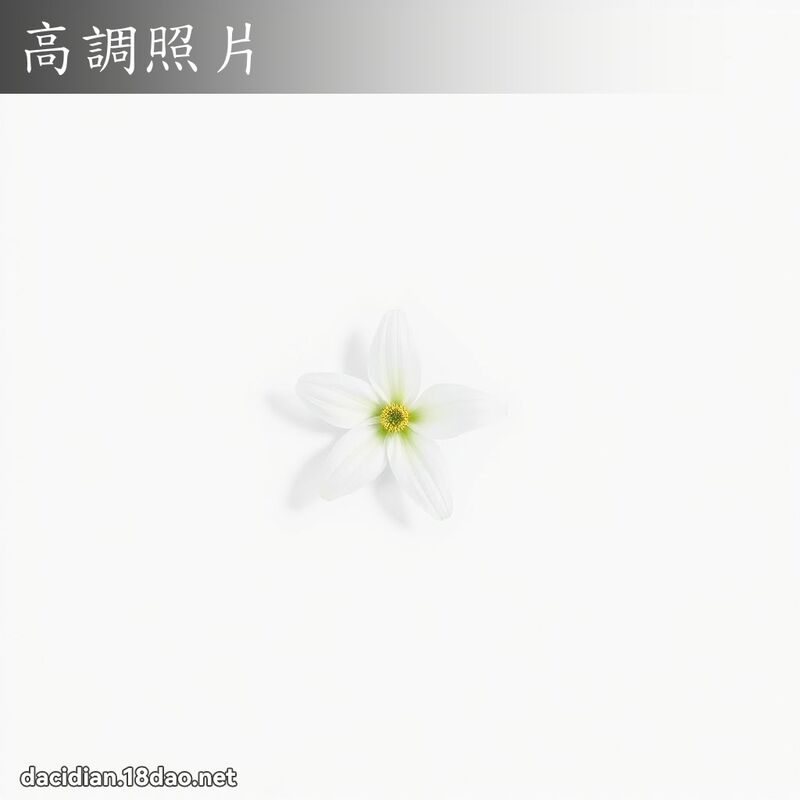 高调照片 - 国语大辞典配图