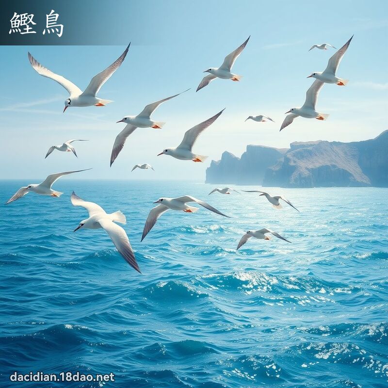 鰹鳥 - 國語大辭典配圖