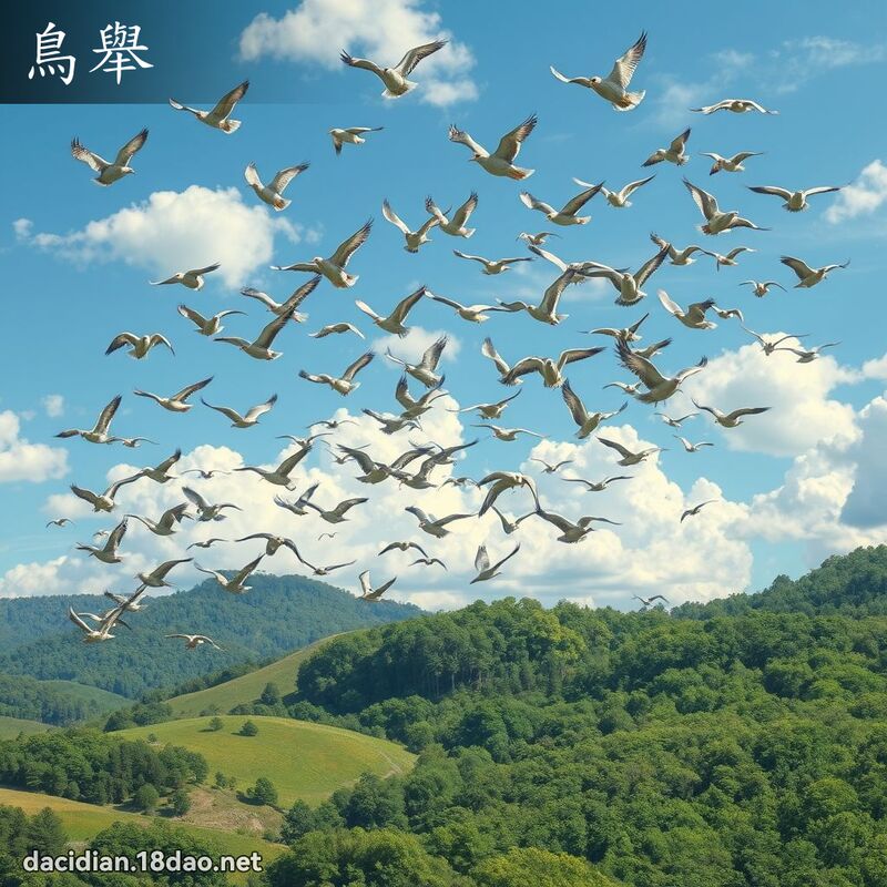 鳥舉 - 國語大辭典配圖