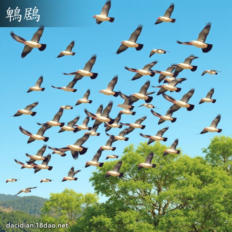 鵯鶋 - 國語大辭典配圖