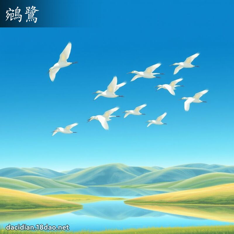 鵷鷺 - 國語大辭典配圖