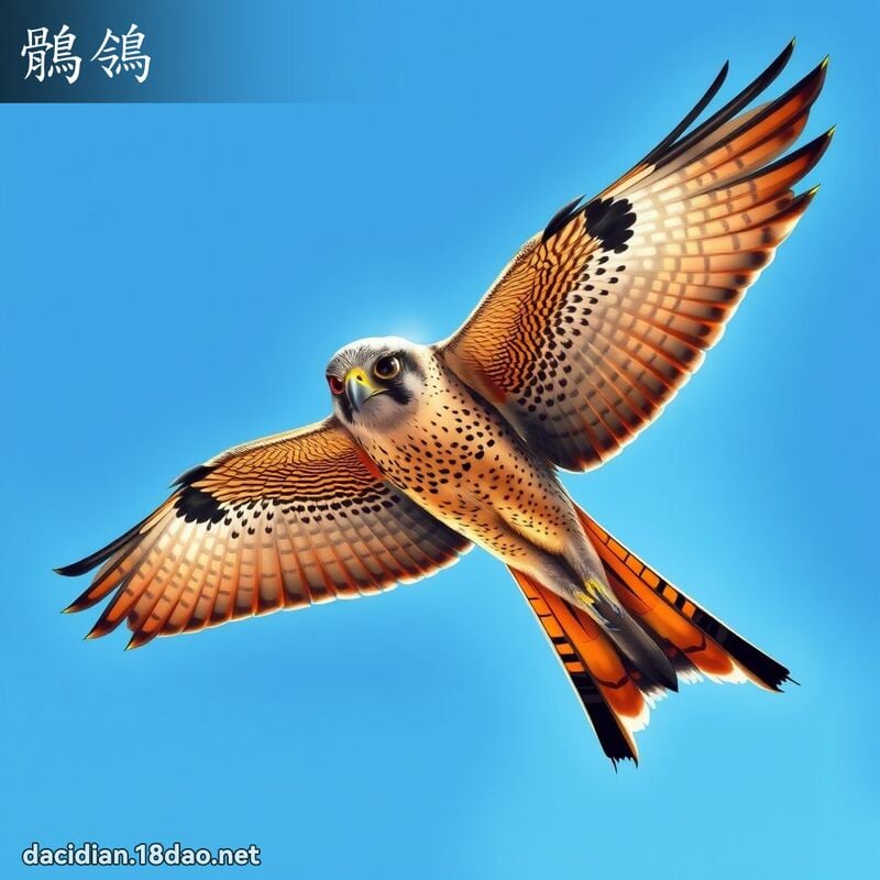 鶻鴒 - 國語大辭典配圖