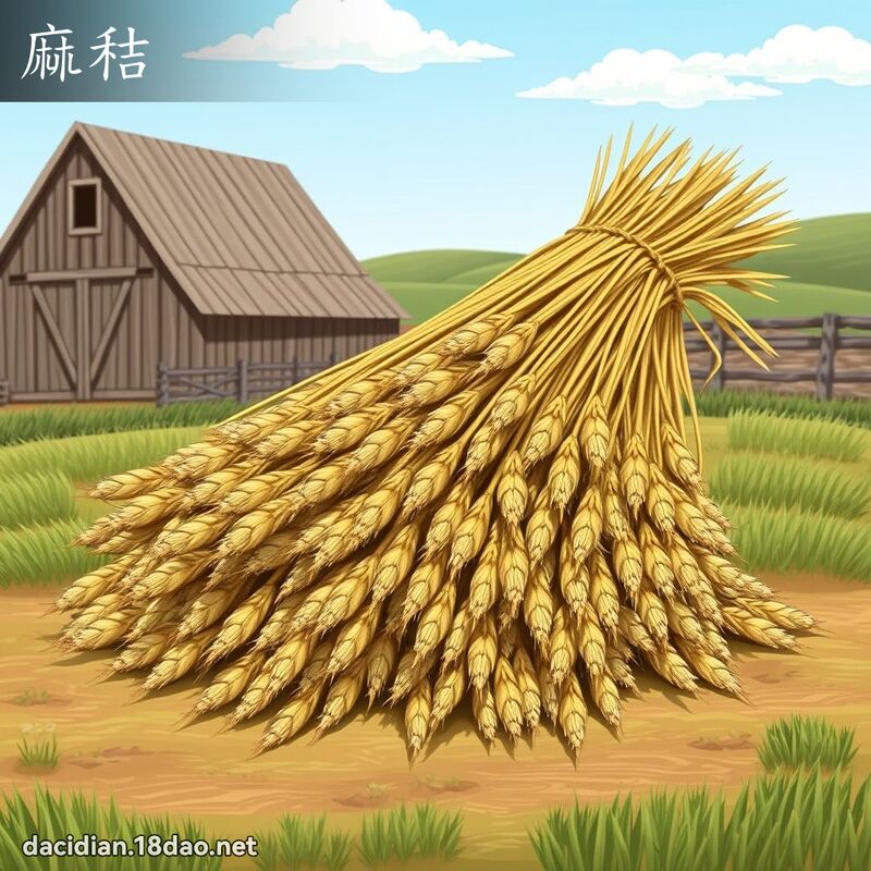 麻秸 - 國語大辭典配圖