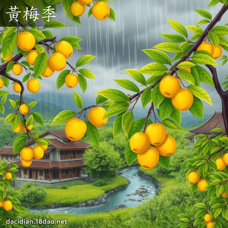 黃梅季 - 國語大辭典配圖