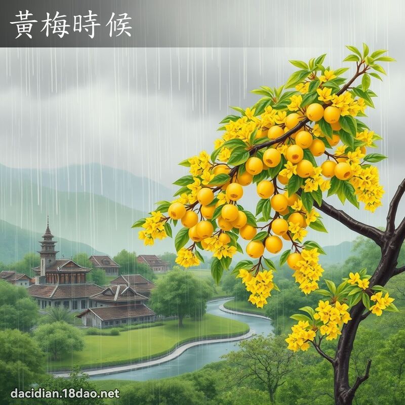 黃梅時候 - 國語大辭典配圖