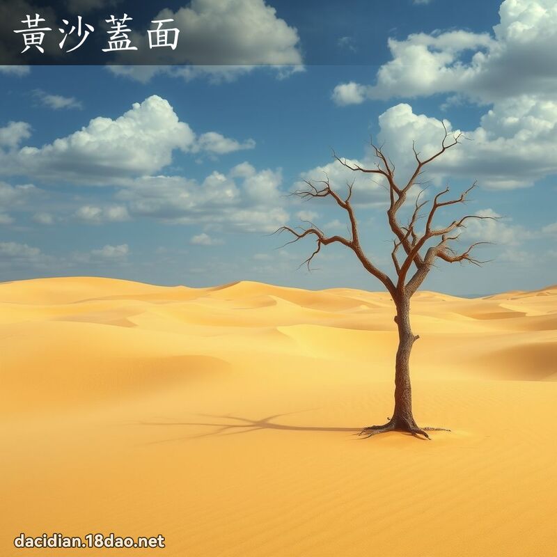 黃沙蓋面 - 國語大辭典配圖
