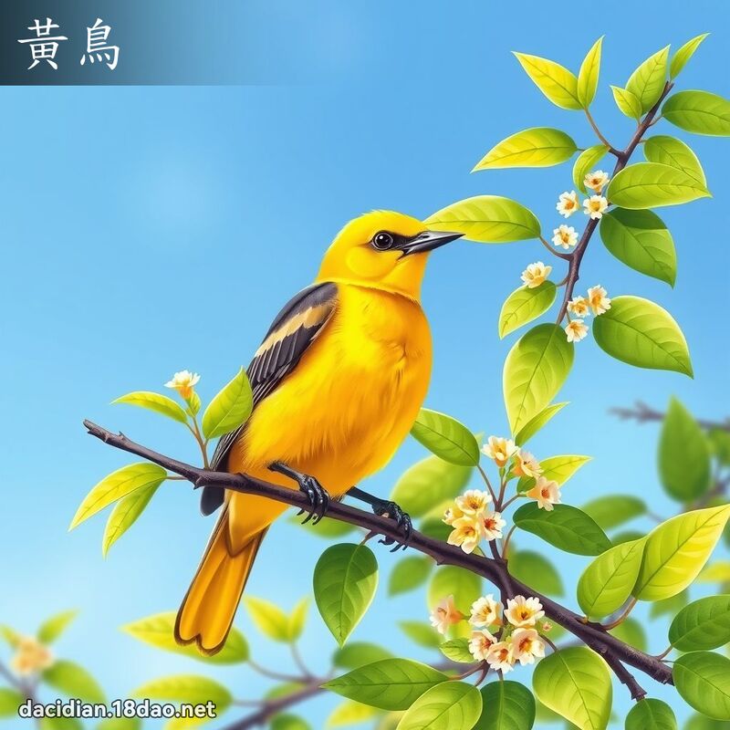 黃鳥 - 國語大辭典配圖
