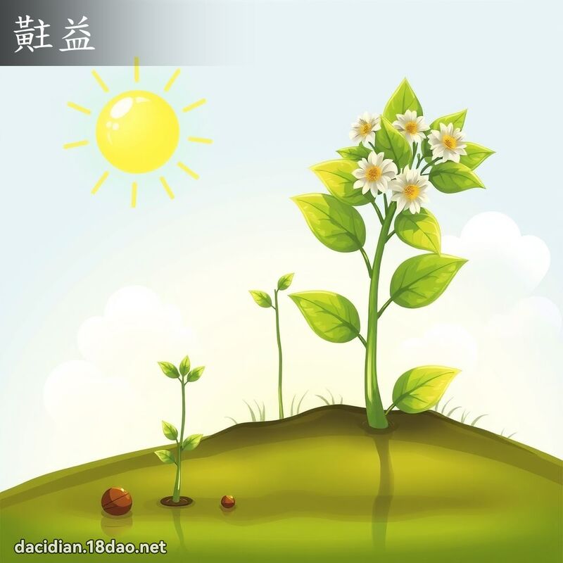 黈益 - 国语大辞典配图